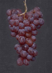 Red Grapes II, oil on linen, by Conor Walton